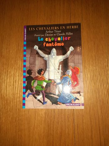 Livre roman les chevalier en herbe