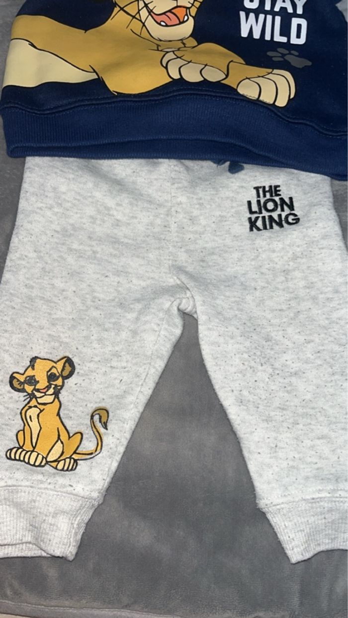 Ensemble le roi lion - photo numéro 3