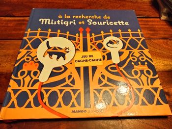 Livre intitulé à la recherche de mistigri et souricette jeu de cache cache Mango jeunesse