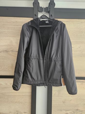 Veste s the north face