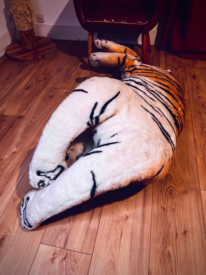 Grande Peluche Tigre 160 cm XXL - photo numéro 7