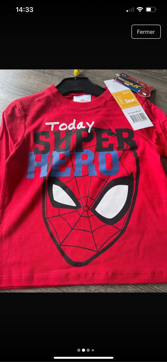 Spiderman - photo numéro 2