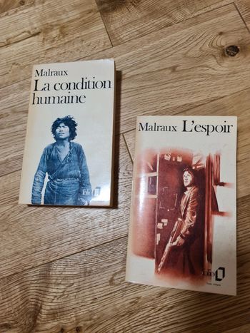 L'espoir et la condition humaine