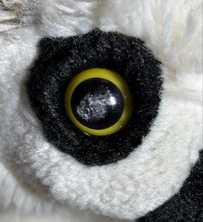 🩶 Peluche Lémurien/Maki Catta – Nature Planet - photo numéro 3