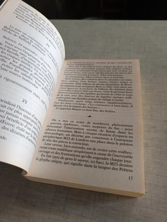 Livre de bons présages - photo numéro 4