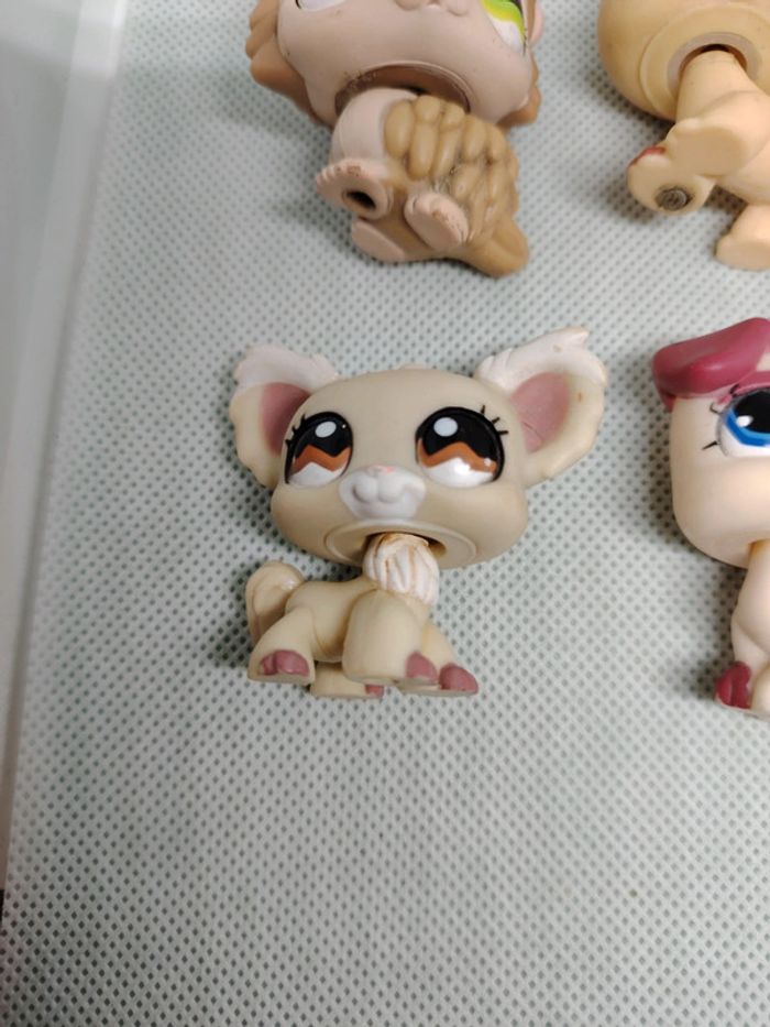 Lot petshop Littlest petshop - photo numéro 2