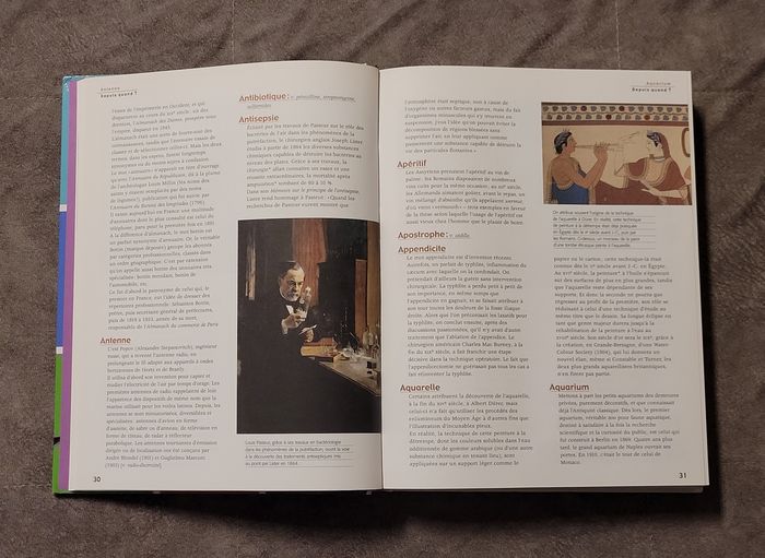Depuis Quand? De A a Z, l'Origine des Objets, Techniques, Animaux et Vegetaux De Notre Quotidien Pie - photo numéro 2
