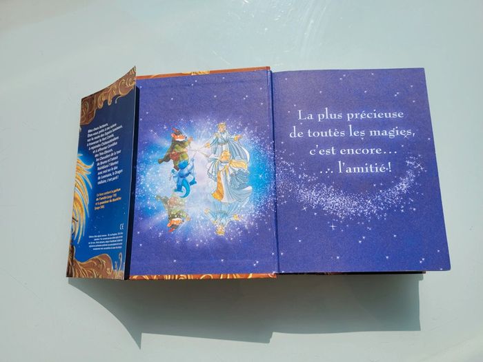 Geronimo Stilton : Très gros livre Chevalier au Royaume de la Fantaisie 🛡 - photo numéro 3