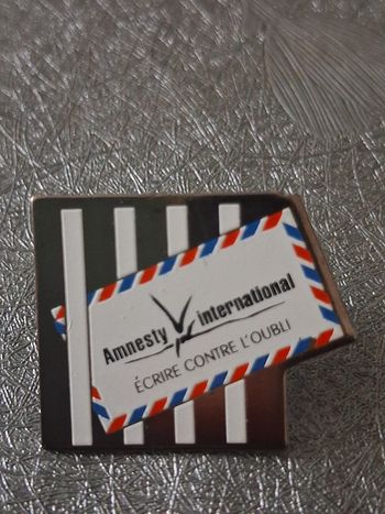 Pins Amnesty international