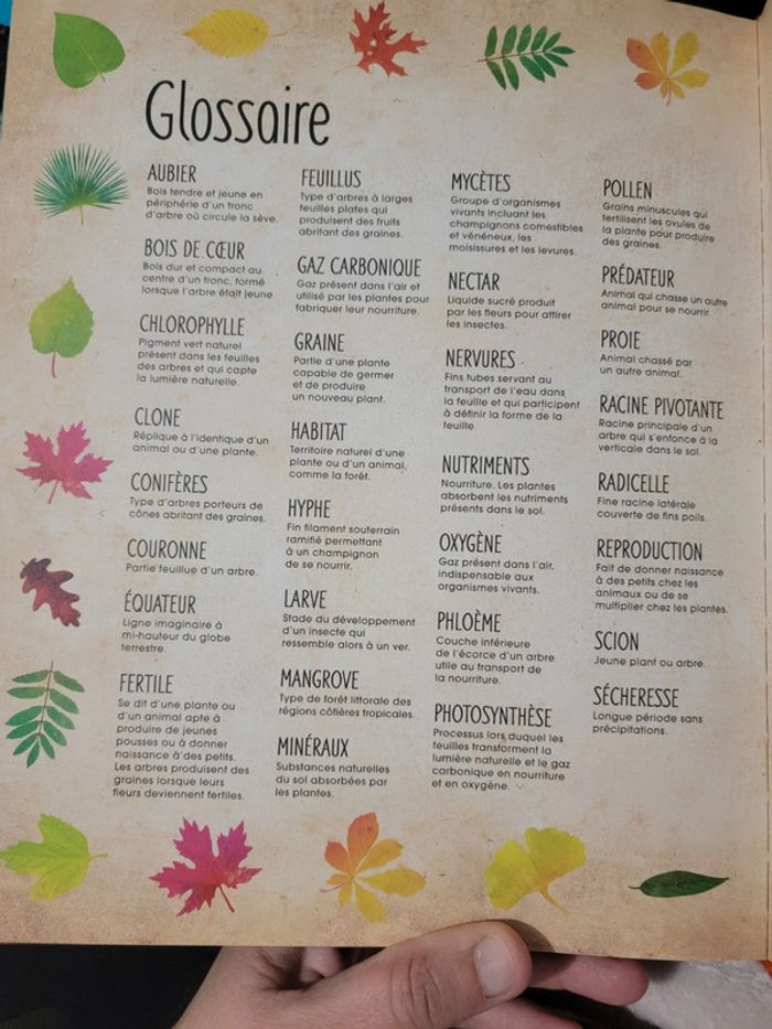 Livres "arbres : secrets et mystères insoupçonnés" - photo numéro 8