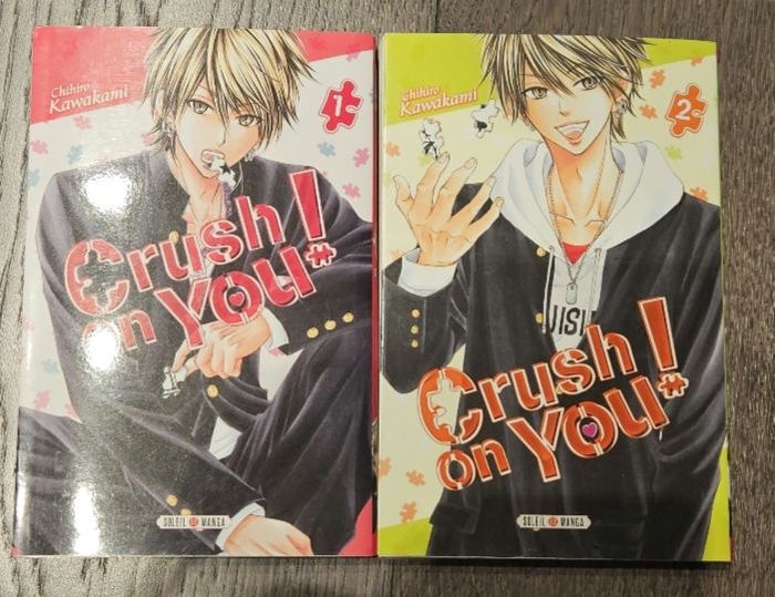 Lot 2 manga Crush on you