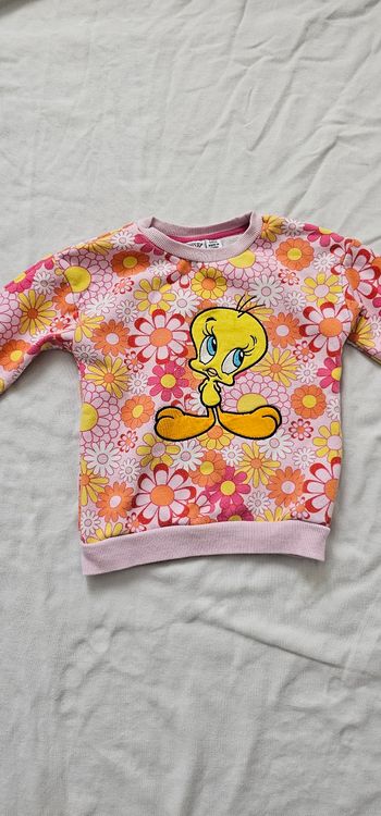 Pull enfant taille 4-5 ans de la marque Looney Tunes