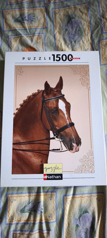 Puzzle cheval