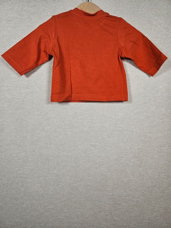 T-shirt manche longue grain de blé 3 mois - photo numéro 5