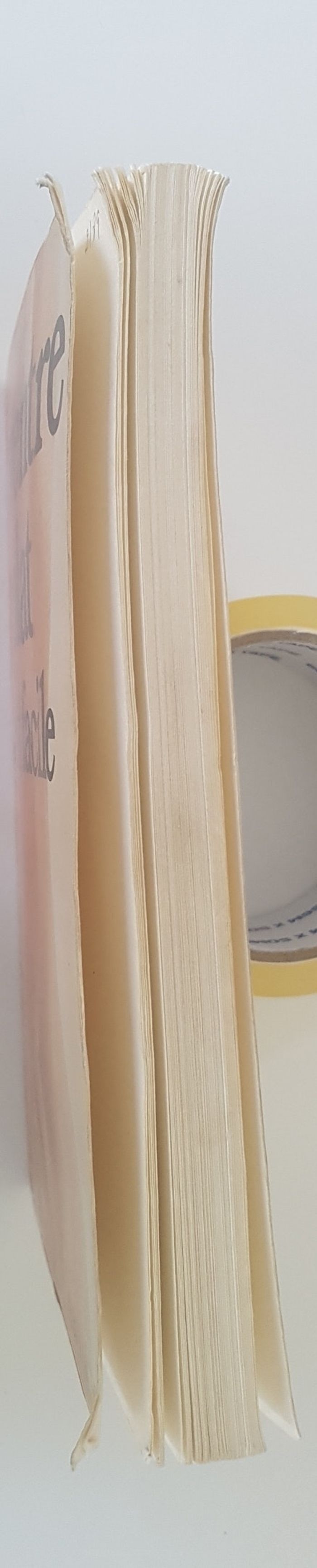 livre "Le ventre plat c'est facile" - photo numéro 5
