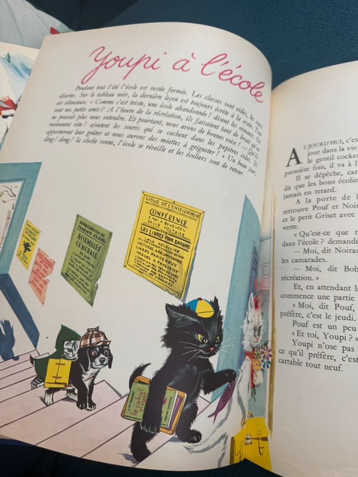 96 pages Grand livre ancien collection Hachette Les trésors de Pierre Probst auteur de Caroline - photo numéro 10