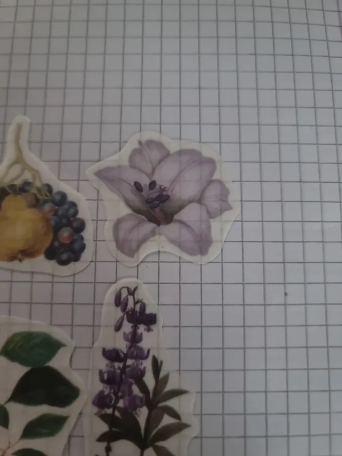 Lot stickers fleuri papier (lot D) - photo numéro 7