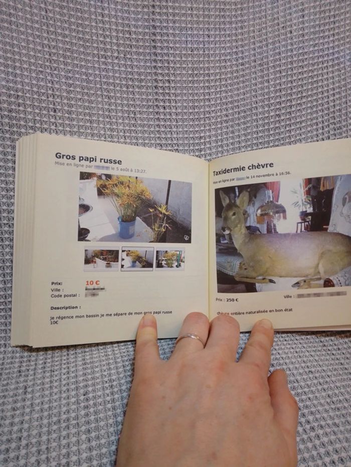 Les pépites du site leboncoin- Ed. Prisma - photo numéro 7