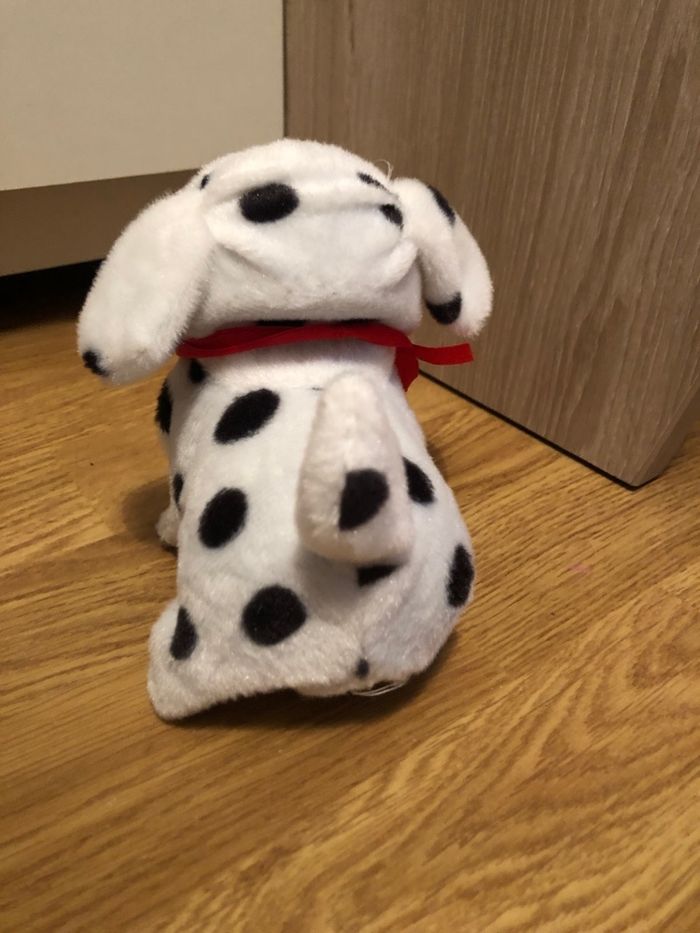 Chien qui marche - photo numéro 3