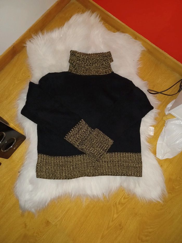 Pull col roulé femme