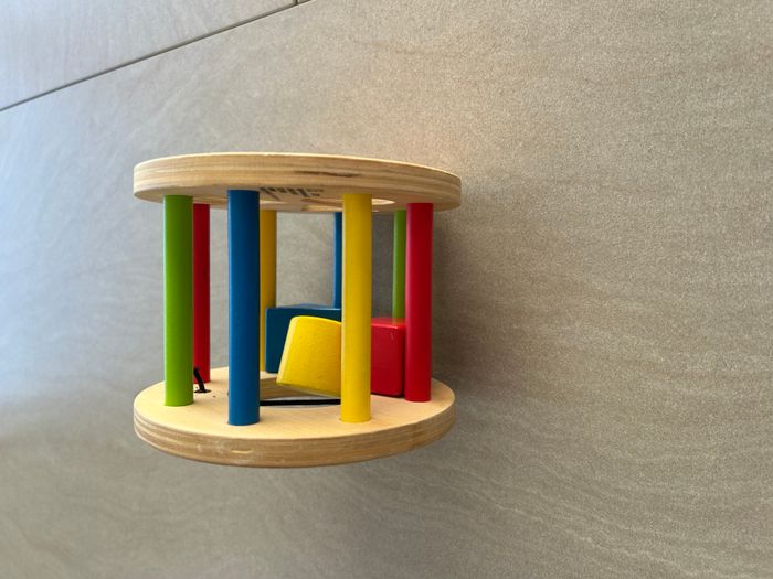 Rouleau trieur de formes Hape - photo numéro 2