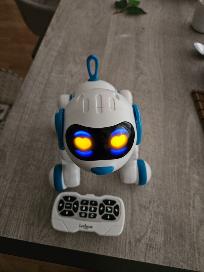 Chien Power puppy JR8 - photo numéro 5