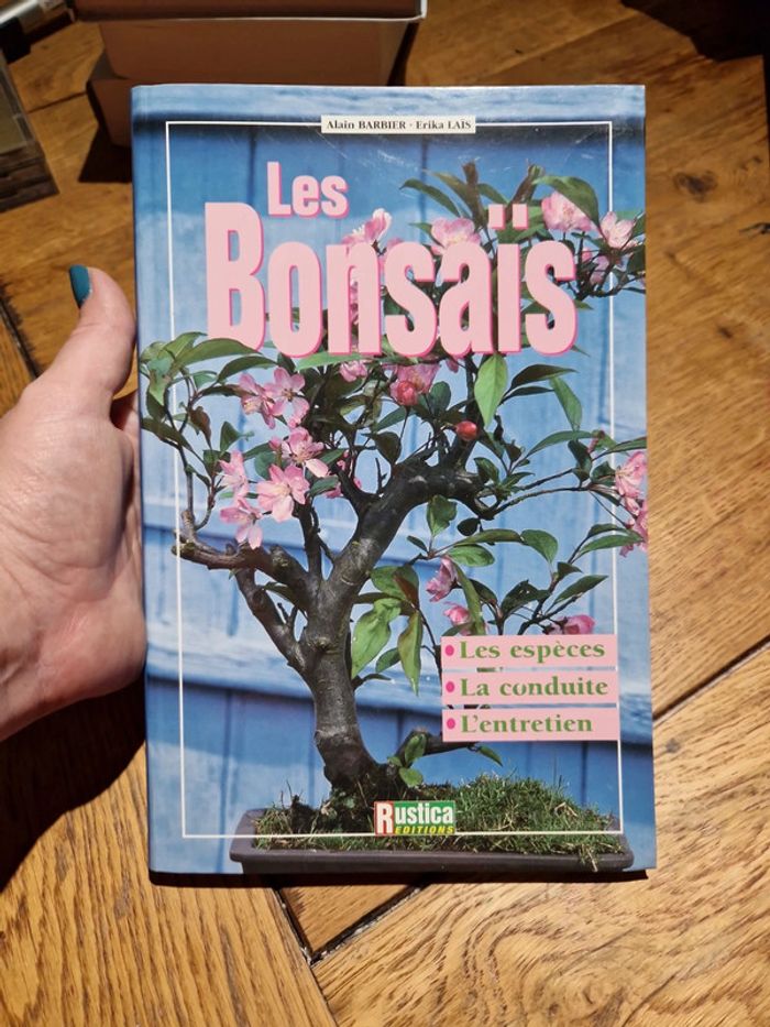 Les bonsaïs