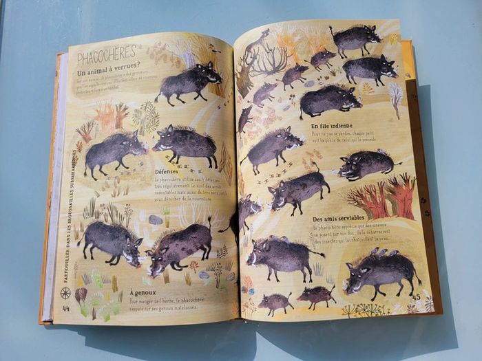 Grand livre 🐆 Nos Incroyables Bêtes Sauvages 🦥 - photo numéro 9