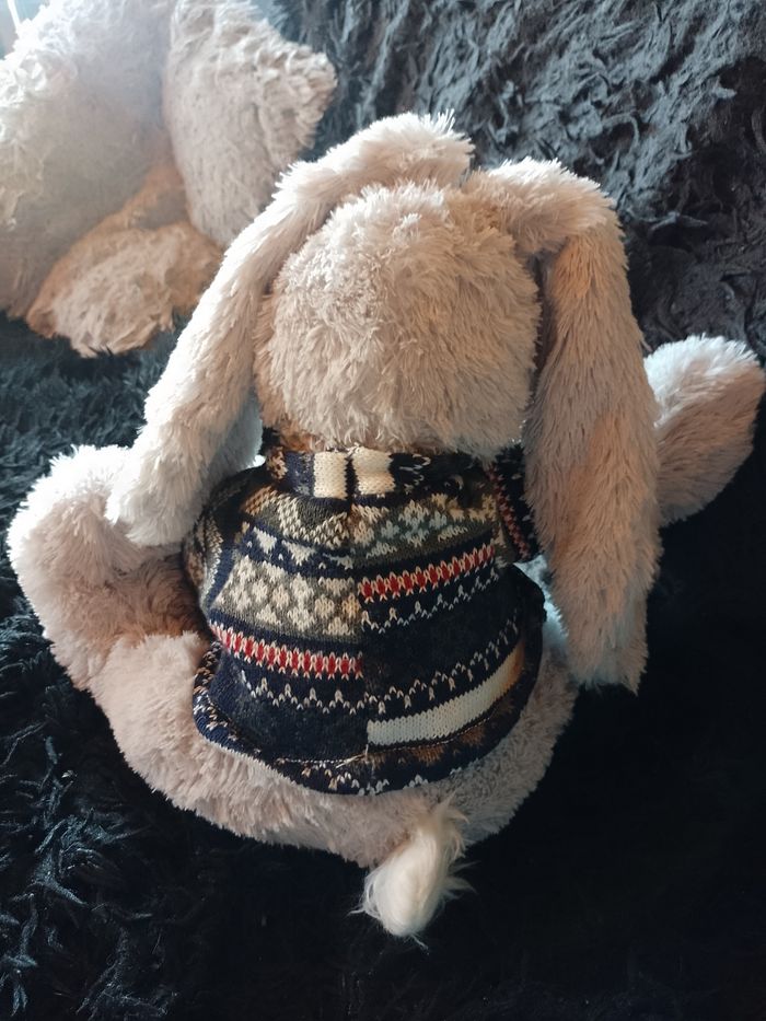 Lapin - photo numéro 6