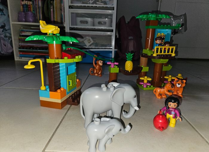 Lego Duplo L'île tropicale 10906 - photo numéro 3