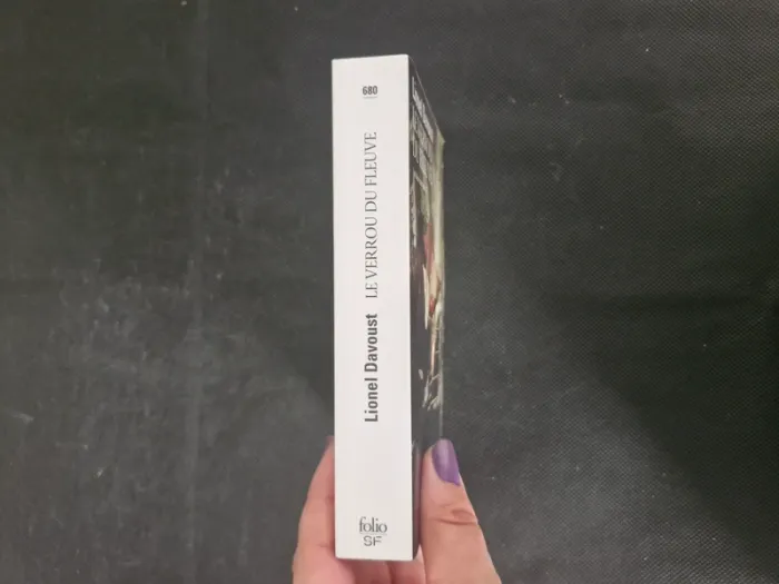 Les Dieux Sauvages - Tome 2 - Le Verrou Du Fleuve - Lionel Davoust