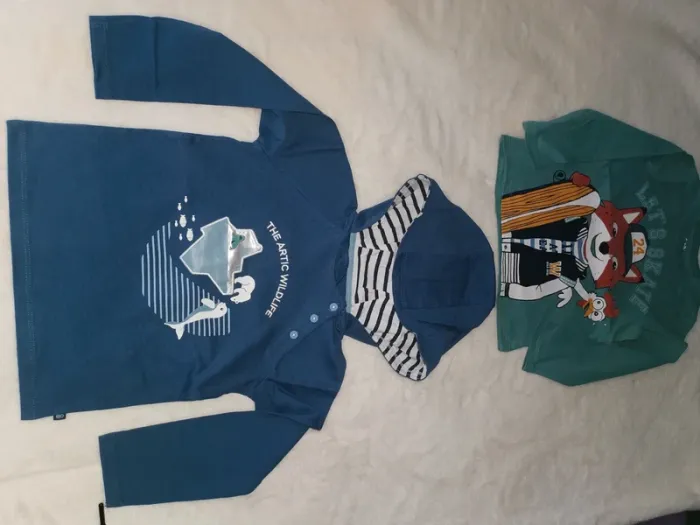 Lot de 2 tee-shirts manches longues Taille 36 mois