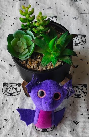 Peluche chauve-souris dragon