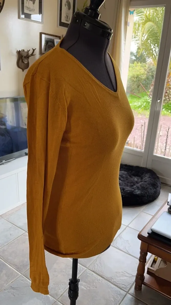 Petit pull - photo numéro 2