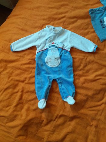 Pyjama  âne