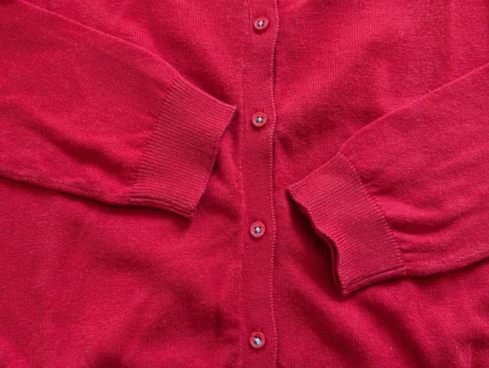 Gilet rouge - photo numéro 4