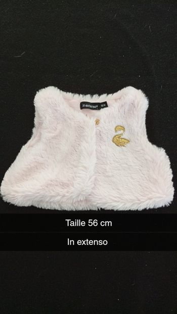 Gilet