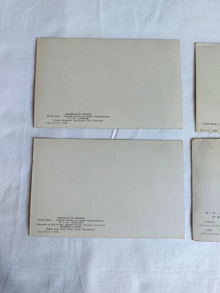 Lot 4 Cartes postales anciennes CPA Aquarium de Monaco dont une PS Bertault - photo numéro 6