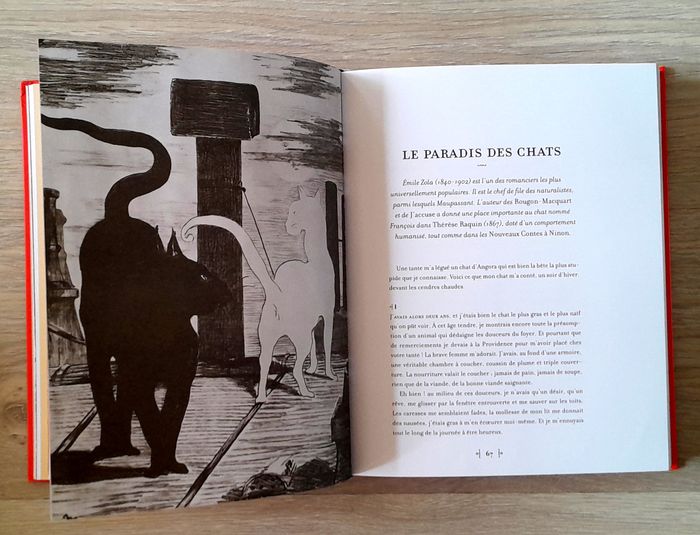 brigitte bulard cordeau - mes belles histoires de chats - photo numéro 10