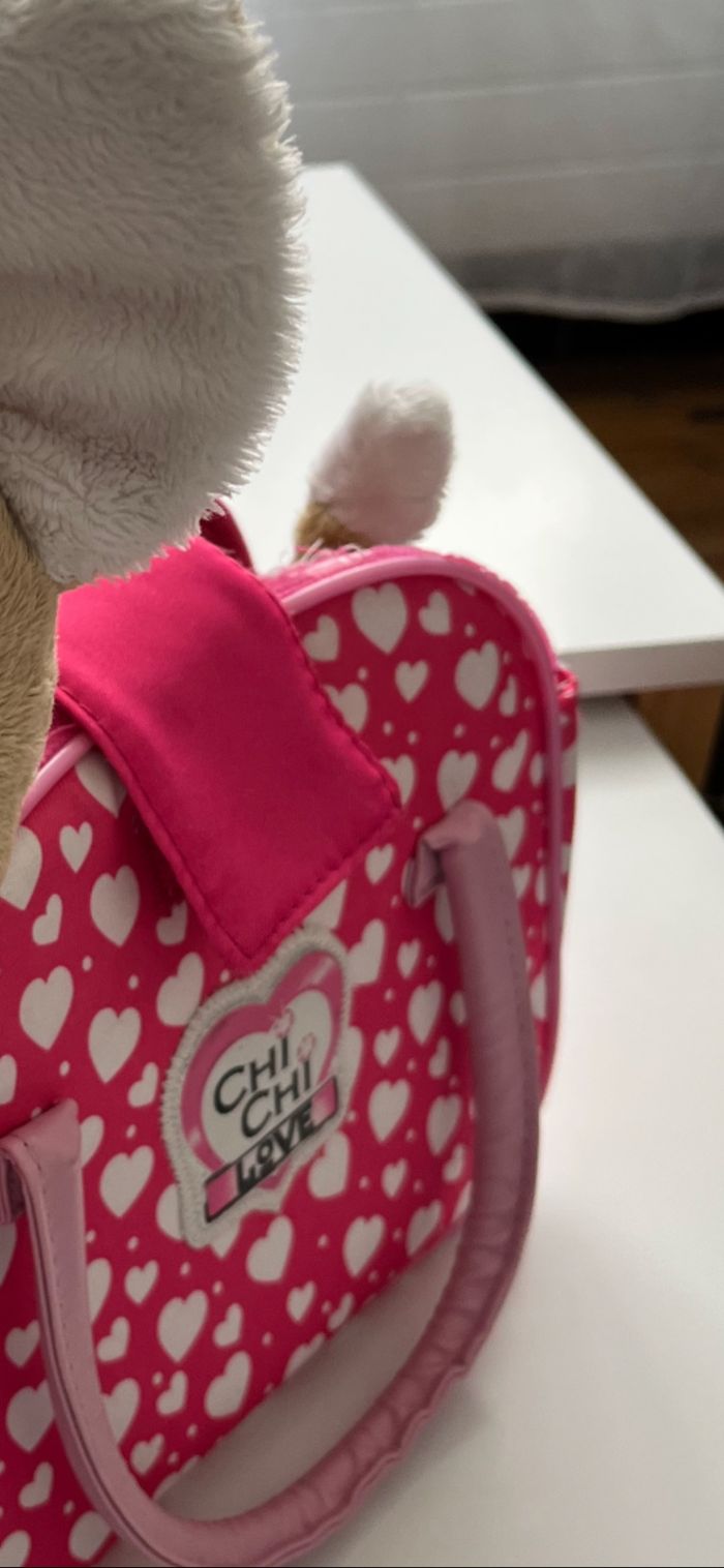 Chien et son sac - photo numéro 4