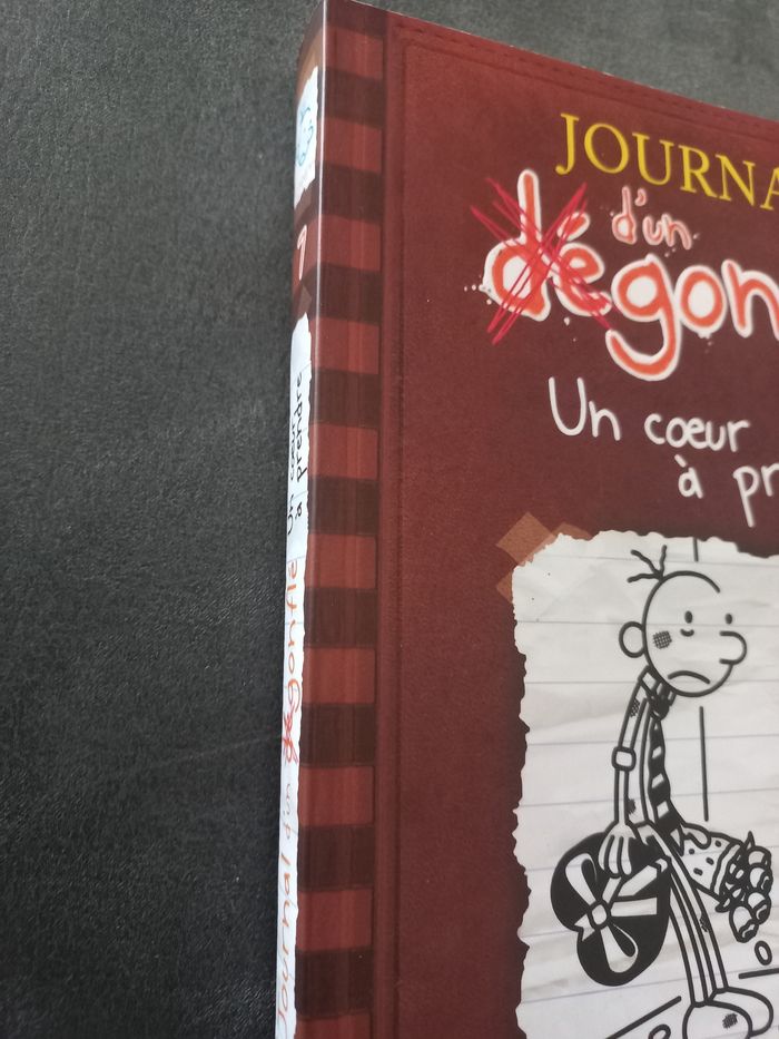 Livre journal d'un dégonflé roman tome 7 - photo numéro 3
