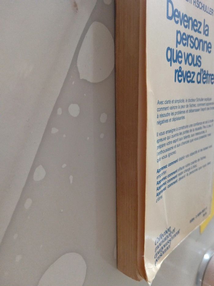 Livre "Devenez la personne que vous rêvez d'être" - photo numéro 3