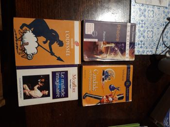 Lot 4 livres scolaires 