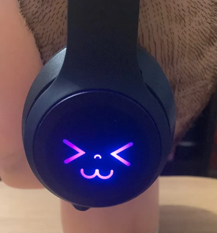 Casque - photo numéro 9