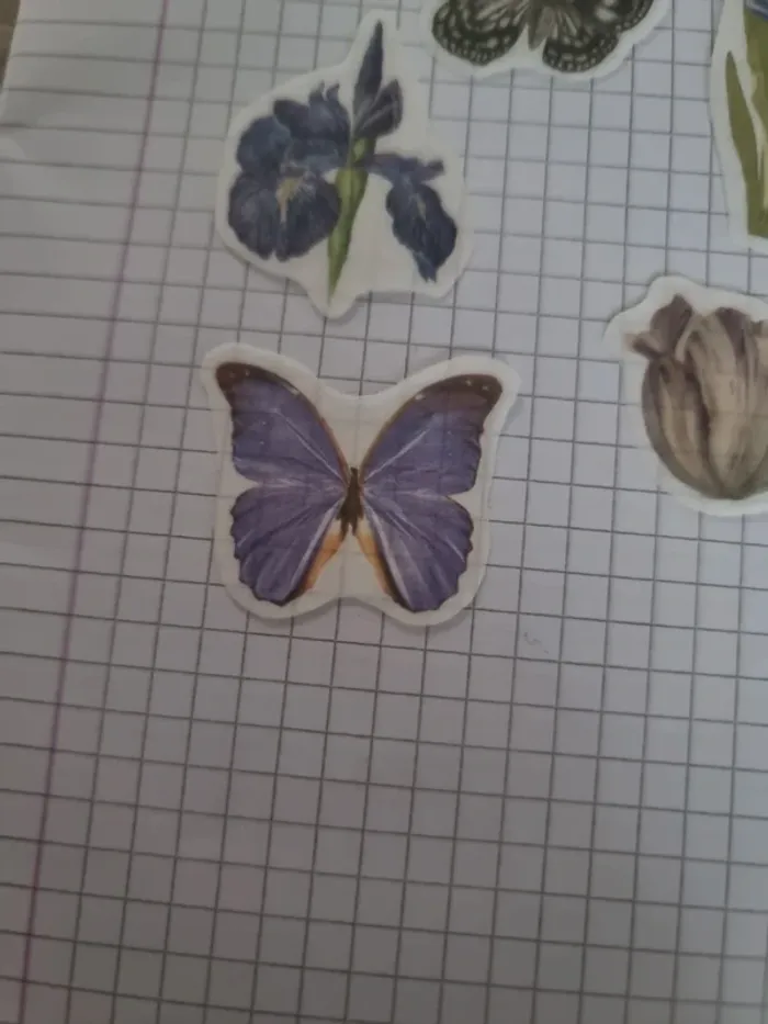 Lot stickers fleuri papier (lot B) - photo numéro 2