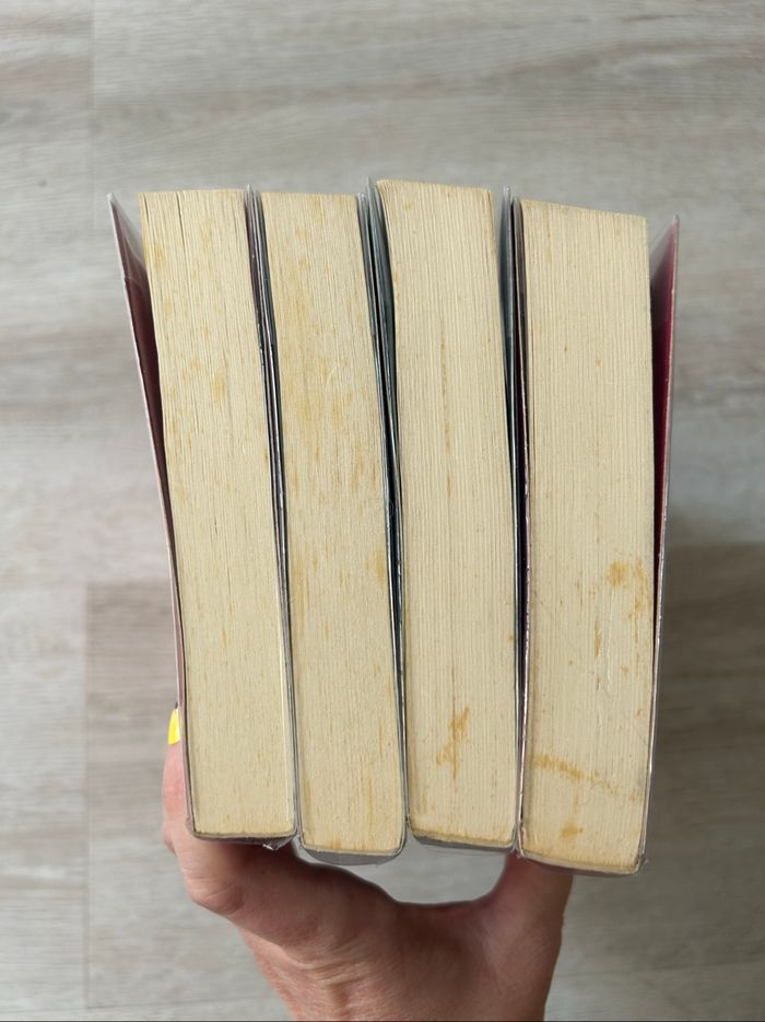 Saga de 4 livres Rose - Holly Webb - photo numéro 6
