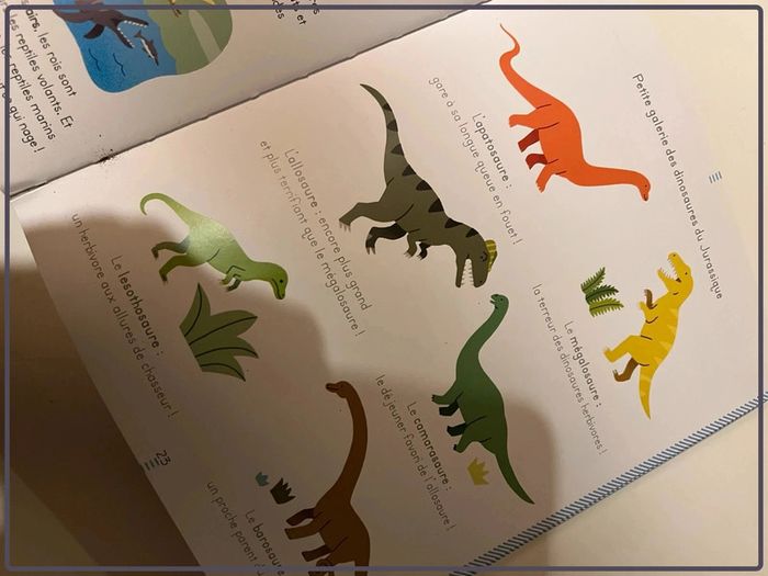 L’encyclopédie des petits les dinosaures Larousse - photo numéro 3