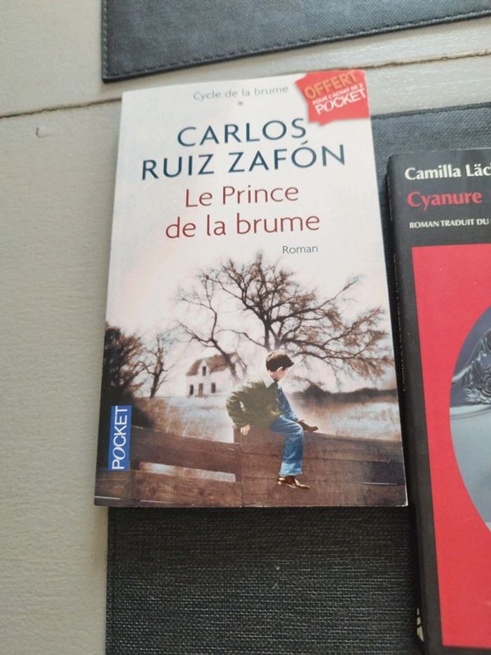 Deux romans cyanure et le prince de la brume