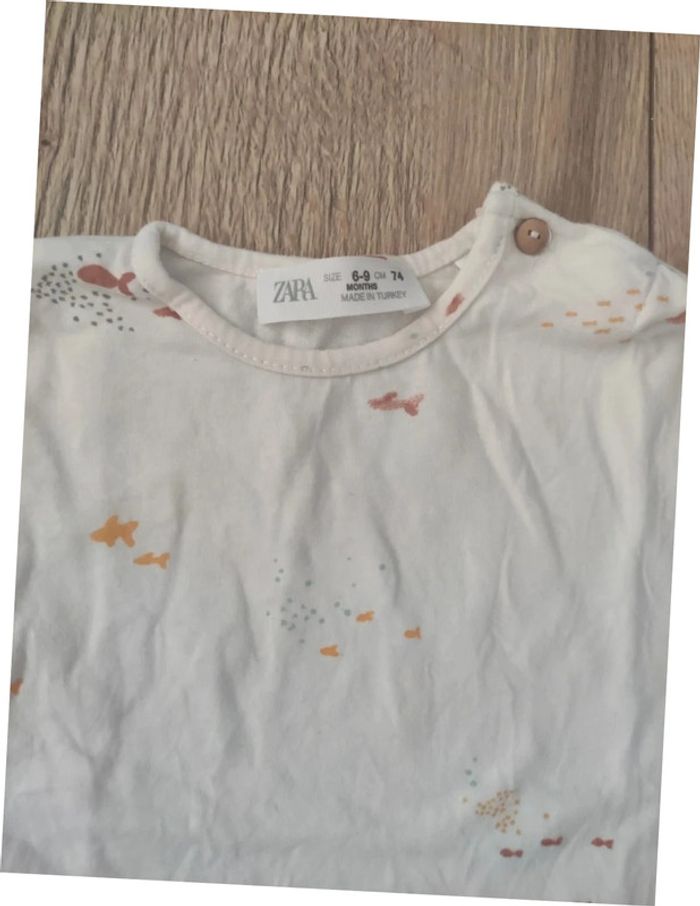 Lot 4 tee-shirt manches courtes 74 cm - photo numéro 2