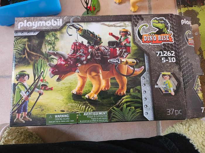 Playmobils dinosaures 71262